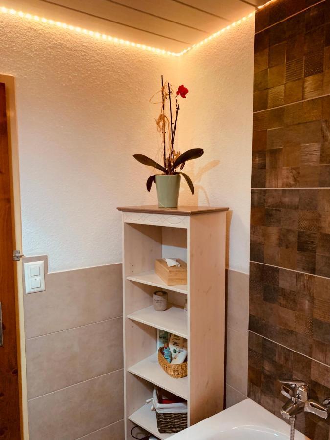 Casa Restelli Og - Nahe Andermatt Gotthard Gurtnellen Dış mekan fotoğraf